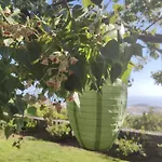 Hébergement de vacances Torres *